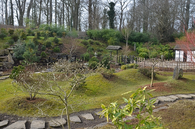 20 02 12_6200.JPG - KINGSTON LACY, DORSET - JAPANESE GARDENS